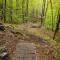 Treehouse in Maine woods- The Grand Oak