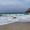 Robins nest, near Sennen Cove, 14 Beaches, Minack