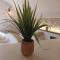 Tsolakis Luxury House 2