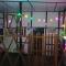 Royal Pine Homestay