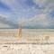 Luxury Longboat Key Condo - Walk to Beach Access! - لونغبوت كي