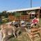 Camping de la ferme aux ânesses, mobil home myrtille - Bressuire