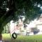 Diamondview Cherry Studio