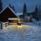 Cosy Chalet on Pokljuka - Brunarica Tinkara