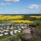 Løgballe Camping & Cottages