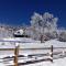 Peach Valley Retreat