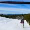 Twain Harte Lake, pool/hot tub, by skiing/Yosemite