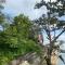Mount View