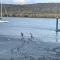 Waterfront, Deep Water Pontoon, views to Straddie