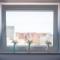 Apartamenty Centrum - Moonlight
