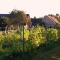 Aplagården Bed & Boutique Winery