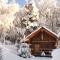 Hut at the forest