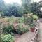 Barn End a spacious cottage set in mature grounds - 奇彭纳姆