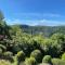 Villa Jean-Pierre. Infinity pool and view in Tourrettes-sur-Loup - Tourrettes-sur-Loup