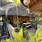 Mount Pinatubo Base Camp at CASA HERMOGINA