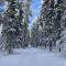 Whitehorse Wonder