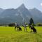 Hotel Alpen Residence