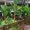 Hibiscus Resort And Spa