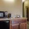 Comfort Inn & Suites Sacramento - University Area