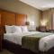 Comfort Inn & Suites Sacramento - University Area