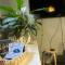 A Beira Hostel - Aveiro