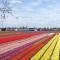 Bed & Beach Noordwijk - free parking and close to beach!