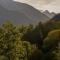 Wild Valley Palm Terrace in Valle Onsernone - Loco