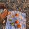 Click! OMG Views! 2-4-6-8pers The Secret Provence Gem - Кассис