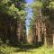 Brand new, private oasis on 18 acres in Erin