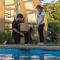 Hotel Domos Dream