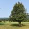 Holly Tree Retreat Located In Beautiful Luray, VA. - Лурей