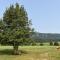 Holly Tree Retreat Located In Beautiful Luray, VA. - Luray