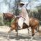 Rancho Santana Horseback Riding