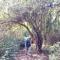 Jardines del Golfo