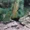 Le Castel dolmes