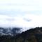 Genting FoggyColdInn1R1B AT Ion Delemen - 云顶高原