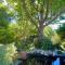 Serene Garden Flat