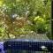 Serene Garden Flat