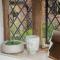 Cloth Hall Barn & Cottages
