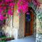 Dream Lodge Siwa دريم لودج سيوة