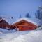 Lovely Home In Geilo With Wifi - Geilo