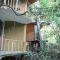 Seasons Four Jungle Treehouse