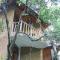 Seasons Four Jungle Treehouse