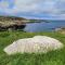 Louisbourg Heritage House