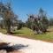 Beautiful newly villa surrounded by olive trees by Beahost