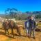 San Diego Trail Guest Ranch - Poway