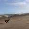 Appartement sur la plage de Malo les bains vue mer