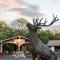 Stonegate Lodge 2 Queen Beds WIFI TV Salt Water Pool Fire Pits #303