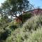 Finca La Fronda