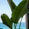 High End 1BD Beach Apartment